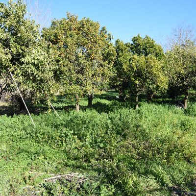 For sale plot of land in Perivolia in Lefkada.