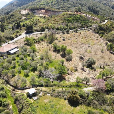 Plot of land in Karia, Lefkada