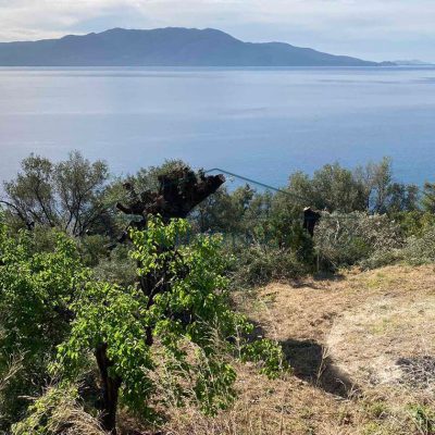 Plot with view in the crystal waters of Kalamos