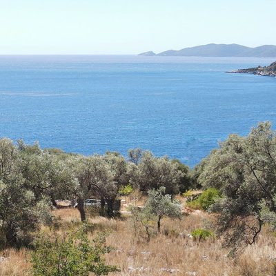 Plot of land with magnificent view in Ammouso.